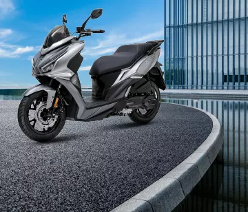 אלמנט גלריה מקום ראשון