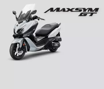 אלמנט גלריה מקסים ג'יטי