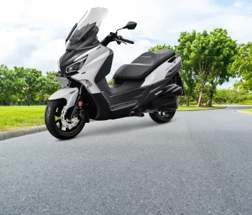 אלמנט גלריה בטיחות 