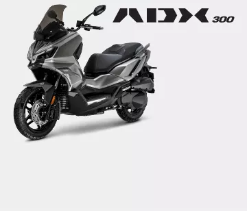 אלמנט גלריה ADX 300