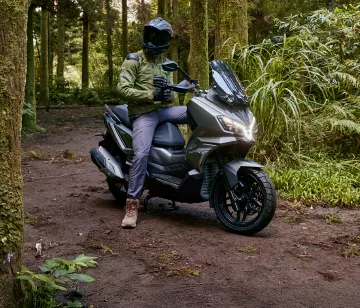 אלמנט גלריה ADX ביער