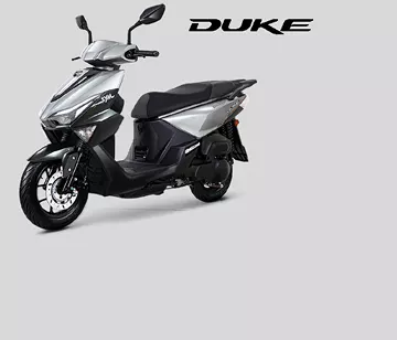 אלמנט גלריה מקסים ג'יטי