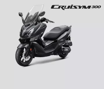 אלמנט גלריה קרוזים 300