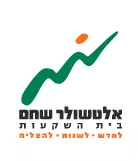לוגו אלטשולר שחם בית השקעות