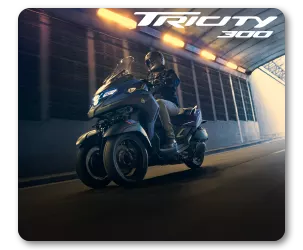 עמוד גלריה על הטריסיטי 300