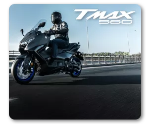 עמוד גלריה טימקס 560