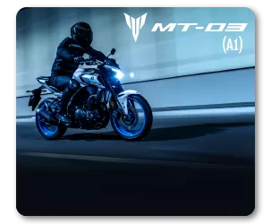 עמוד גלריה על ימאהה אמ טי 03