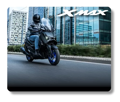 עמוד גלריה אקסמקס 125