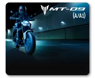 עמוד גלריה על אופנוע אמ טי 09